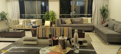 1 BHK + Servant Room Apartment For Rent in Shreepati Jewels Ruby