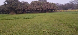 Plot Area in  Land at Bhagwanpur – for Sale