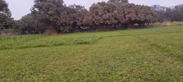  Land For Sale in Bhagwanpur