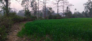 Plot Area in  Land at Bhagwanpur – for Sale