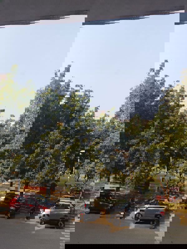 2 BHK + Pooja Room Builder Floor For Sale in Unitech Woodstock Floors