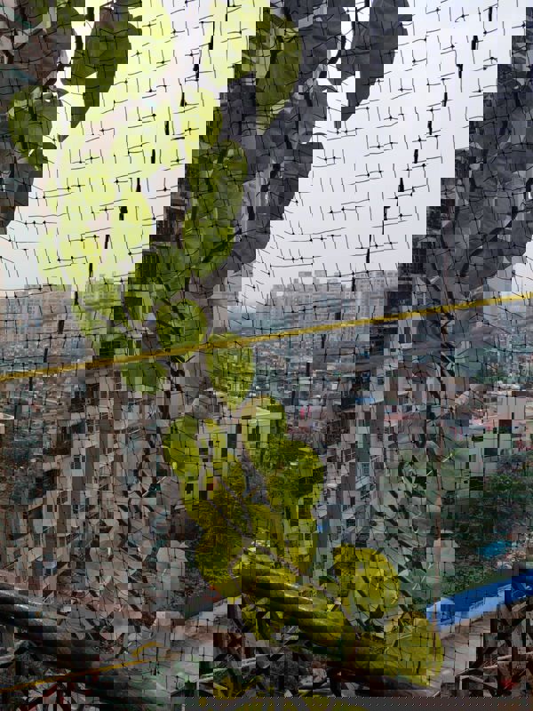 3.5 BHK + Pooja Room Apartment For Sale in Aditya Mega City