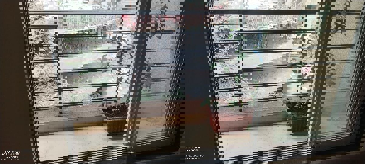 1 BHK + Pooja Room Apartment For Rent in Kavya Hill View CHS