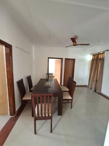3 BHK Apartment For Rent in Onyxe Paraiso, Patiala Road