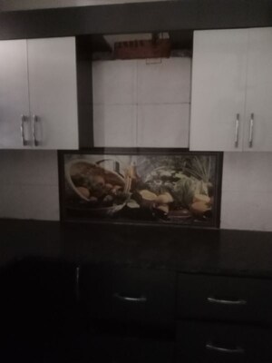 Kitchen in 2 BHK Builder Floor at Huda – for Rent