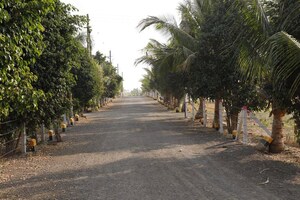  Plot – Exterior View View at Sashte - for Sale