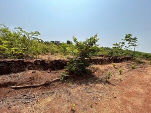 Plot Area in  Plot at Roha – for Sale