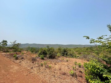 Plot Area in  Plot at Roha – for Sale