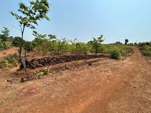  Plot For Sale in Roha