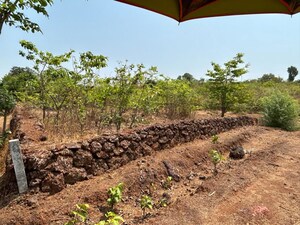 Plot Area in  Plot at Roha – for Sale