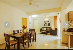 Living Room in 3 BHK Apartment at Tulip Violet, Sector 69 – for Sale