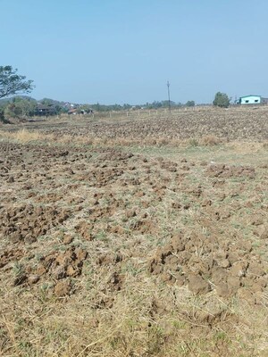 Plot Area in  Plot at Pen – for Sale