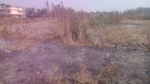 Plot Area in  Plot at Pen – for Sale