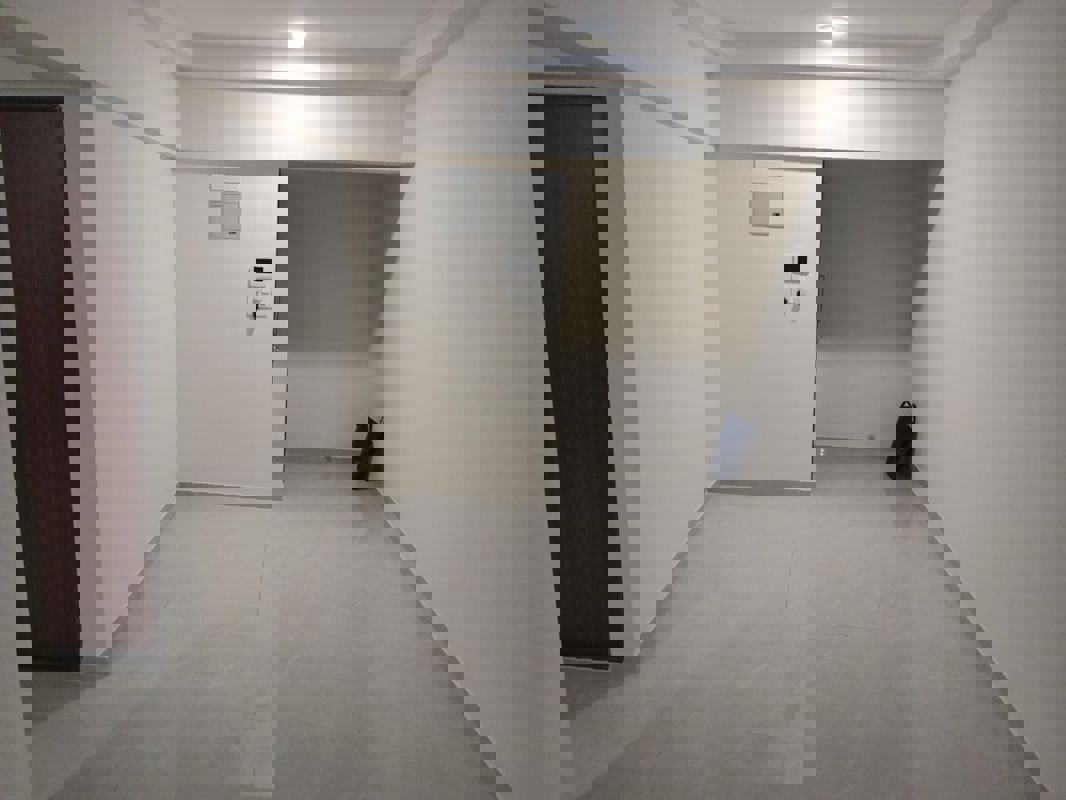 2 BHK Apartment For Rent in DD Om Makarand Heights