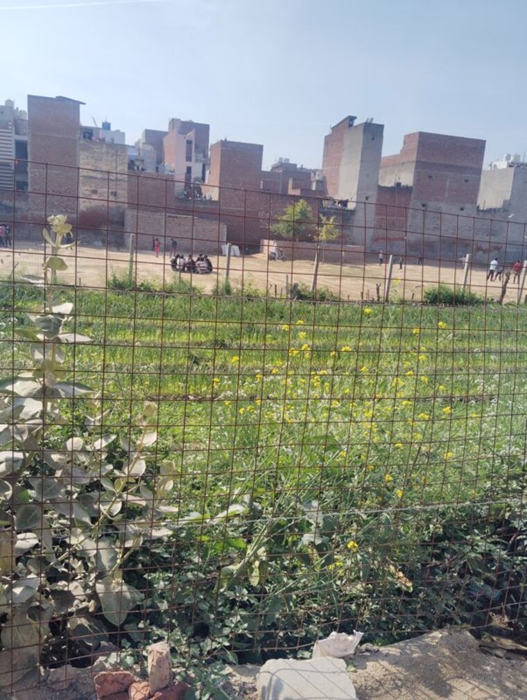 undefined, bharat colony  1350 Sq.Ft. Plot In Bharat Colony Faridabad 9922285