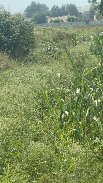 Plot Area in  Plot at Kunchanapalli – for Sale