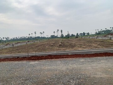 Plot Area in  Plot at Kanchikacherla – for Sale