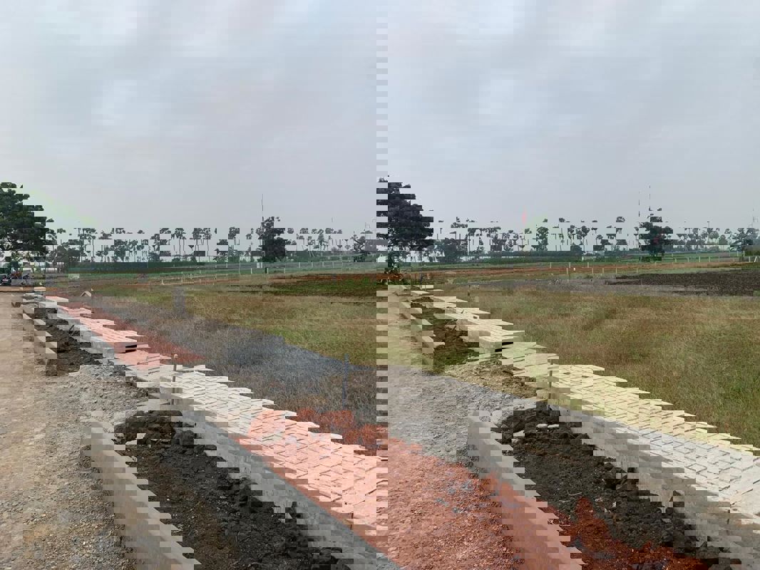 Plot For Sale in Kanchikacherla