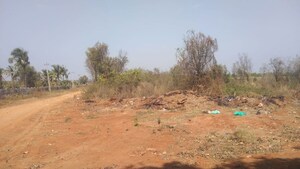  Land For Sale in Vijaypura