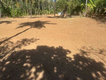  Plot For Sale in Mundoor