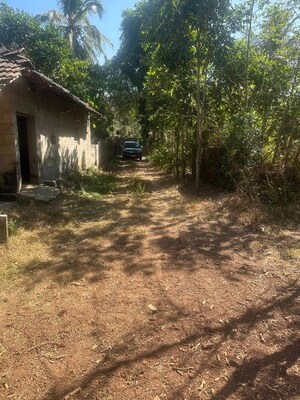 Plot Area in  Plot at Mundoor – for Sale