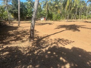 Plot Area in  Plot at Mundoor – for Sale