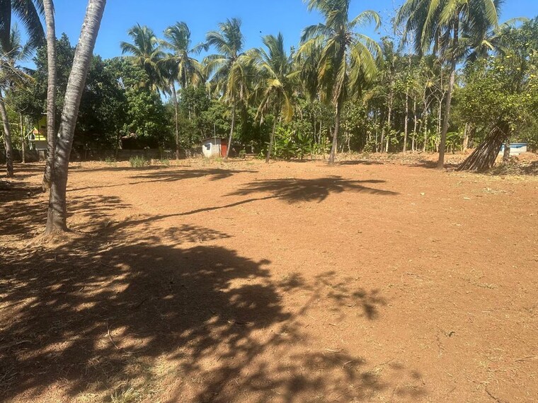 undefined, mundoor  21126 Sq.Ft. Plot In Mundoor Thrissur 9922389