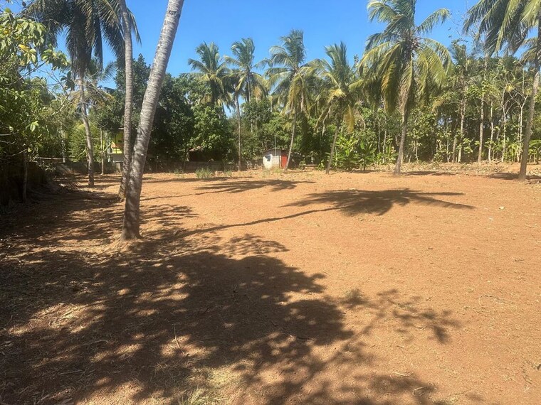 undefined, mundoor  21126 Sq.Ft. Plot In Mundoor Thrissur 9922389