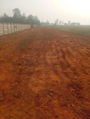 Plot Area in  Plot at Parao – for Sale