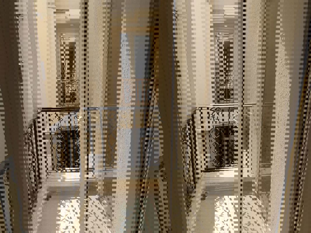 3 BHK Apartment For Sale in Signature Global Park