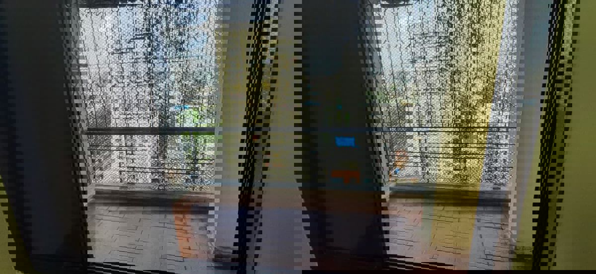 3 BHK 1557 Sq.Ft. Apartment in Shree Balaji Satyam Towers