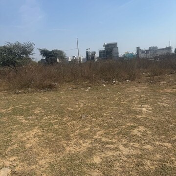 Plot Area in  Plot at Saini – for Sale