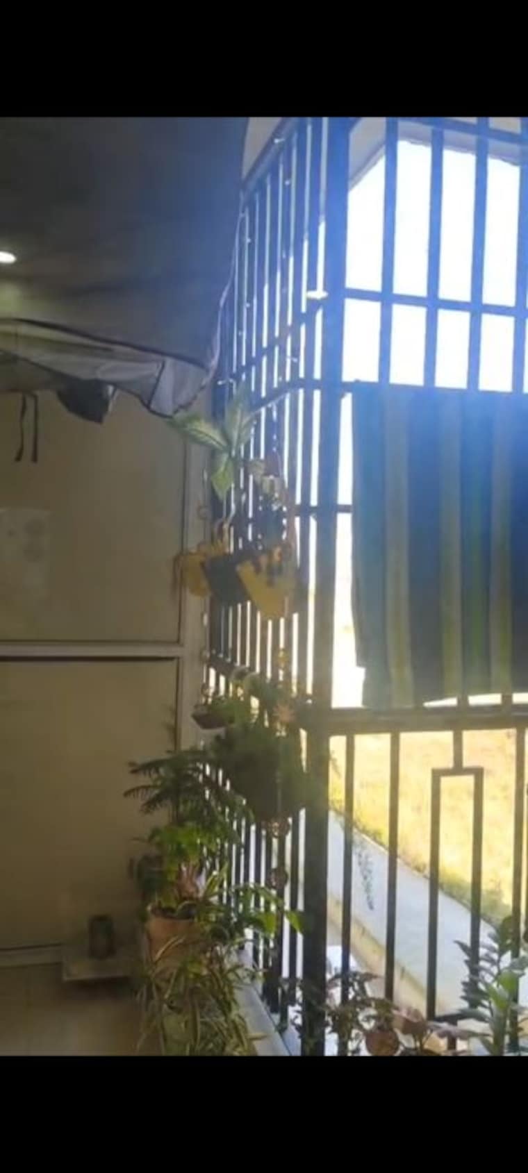 Living Room, windsor-paradise-2 2 Bedroom 995 Sq.Ft. Apartment In Raj Nagar Extension Ghaziabad 9922908