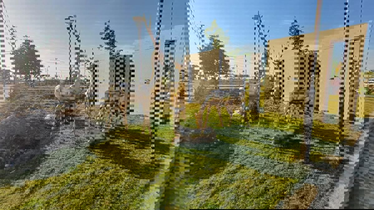 Plot For Sale in Ujjain Road