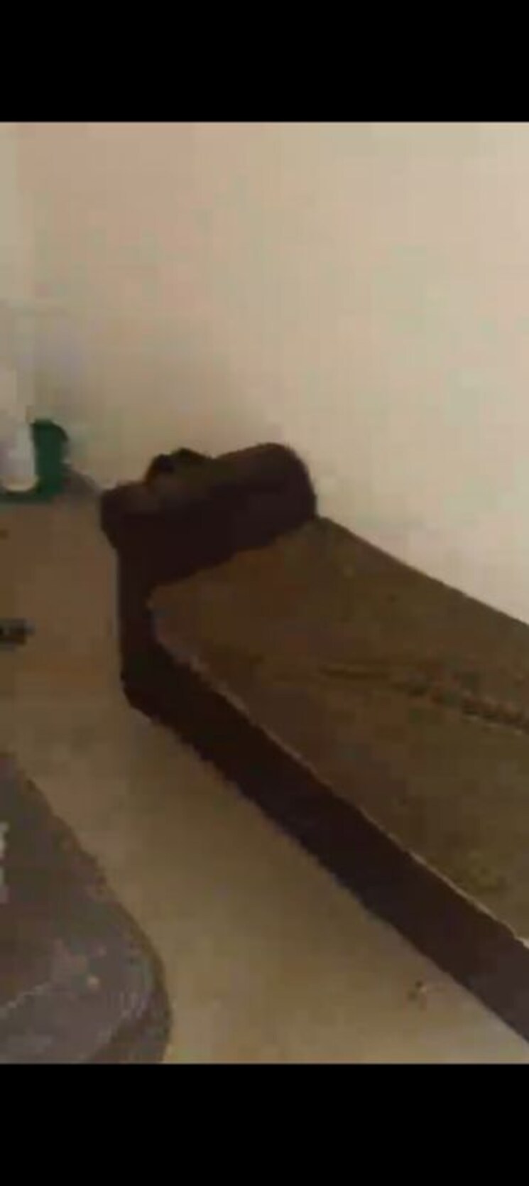 Floor Plan, devika-skypers Commercial Shop 150 Sq.Ft. In Raj Nagar Extension Ghaziabad 9923078