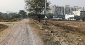  Plot For Sale in BPTP Eden Estate, Sector 81