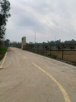 136 Sq.Yd. Plot in Mohabbewala