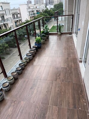 Balcony in 3 BHK Builder Floor at RWA Residential Society Sector 46, Sector 46 – for Rent