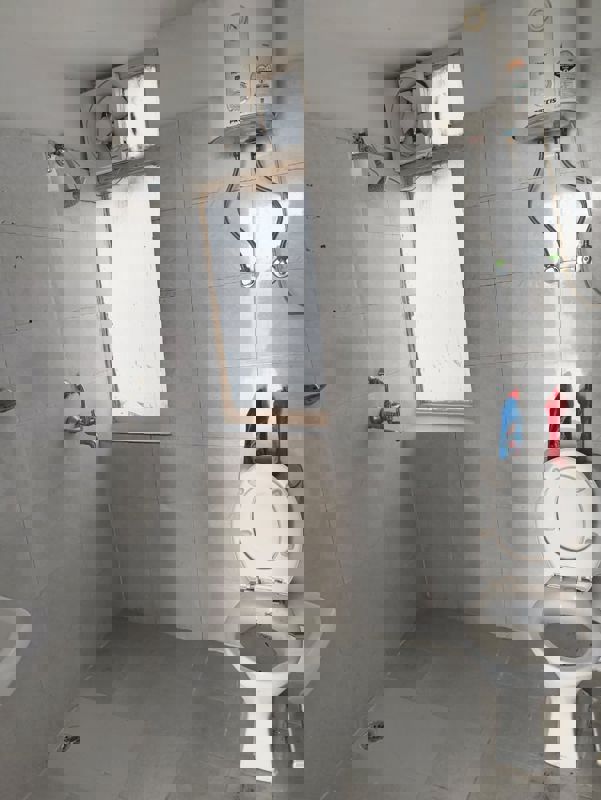 3 BHK + Servant Room Apartment For Rent in Tulip White