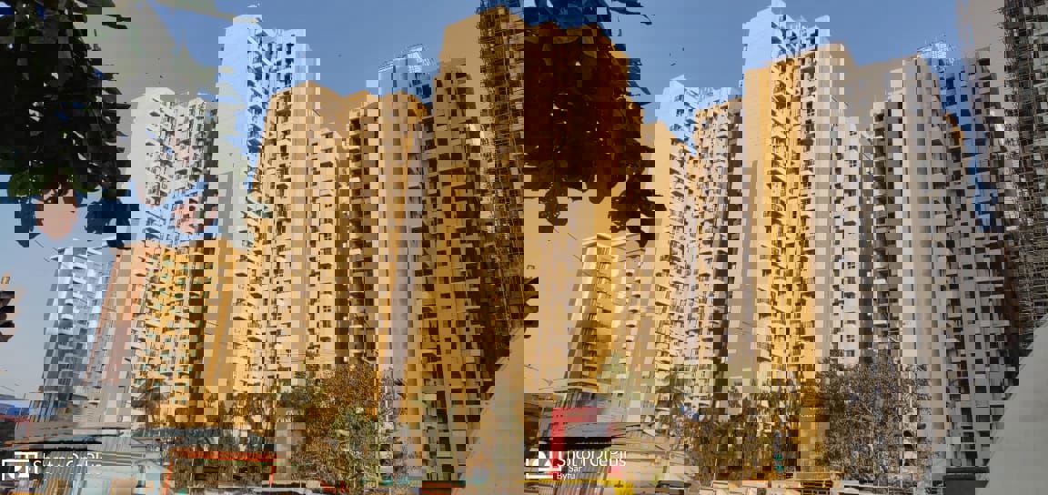 1 BHK + Store Room Apartment For Sale in DB Orchid Ozone