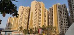 2 BHK + Store Room 882 Sq.Ft. Apartment in DB Orchid Ozone