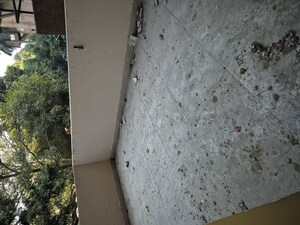 Bathroom in 3.5 BHK Apartment at Mayur Vihar – for Rent