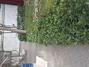 Balcony in 3 BHK Independent House at RWA Apartments Sector 50, Sector 50 – for Rent