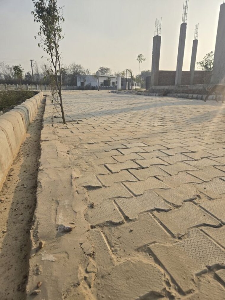 Exterior View, tilapta  50 Sq.Yd. Plot In Tilapta Greater Noida 9923641