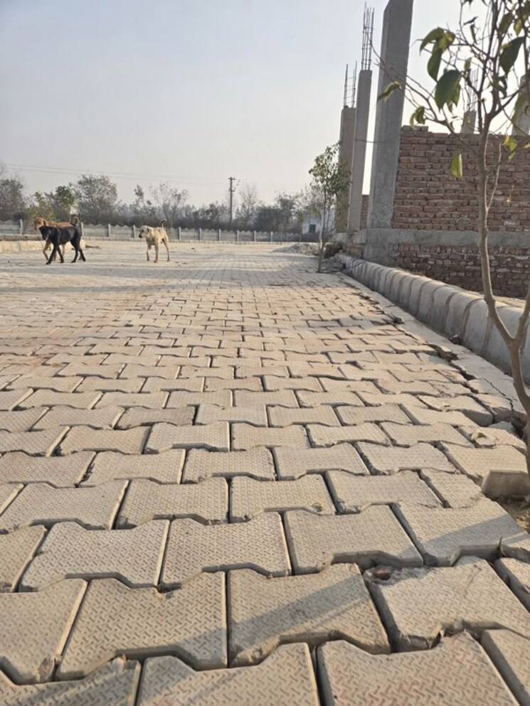 Exterior View, tilapta  50 Sq.Yd. Plot In Tilapta Greater Noida 9923641