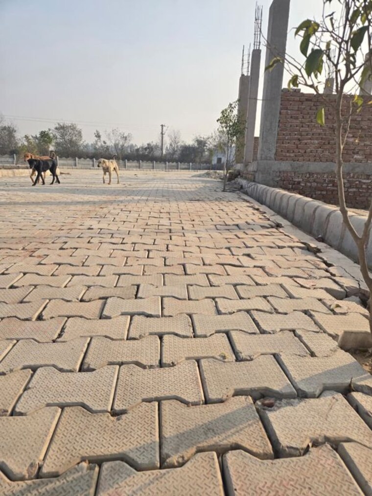 Exterior View, tilapta  50 Sq.Yd. Plot In Tilapta Greater Noida 9923641