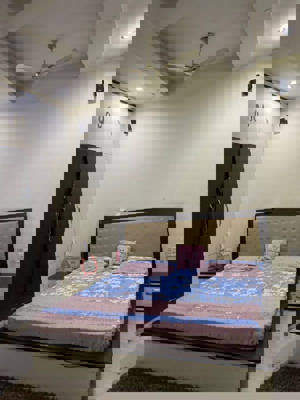 6+ BHK Independent House For Sale in Pitampura