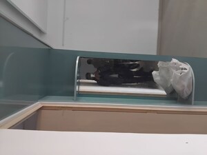 Bedroom in 3 BHK Apartment at Conscient Habitat Residences, Sector 78 – for Rent