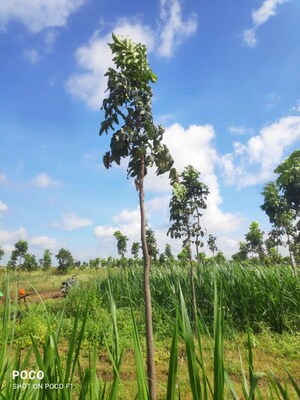  Plot – Garden View at Kphb - for Sale