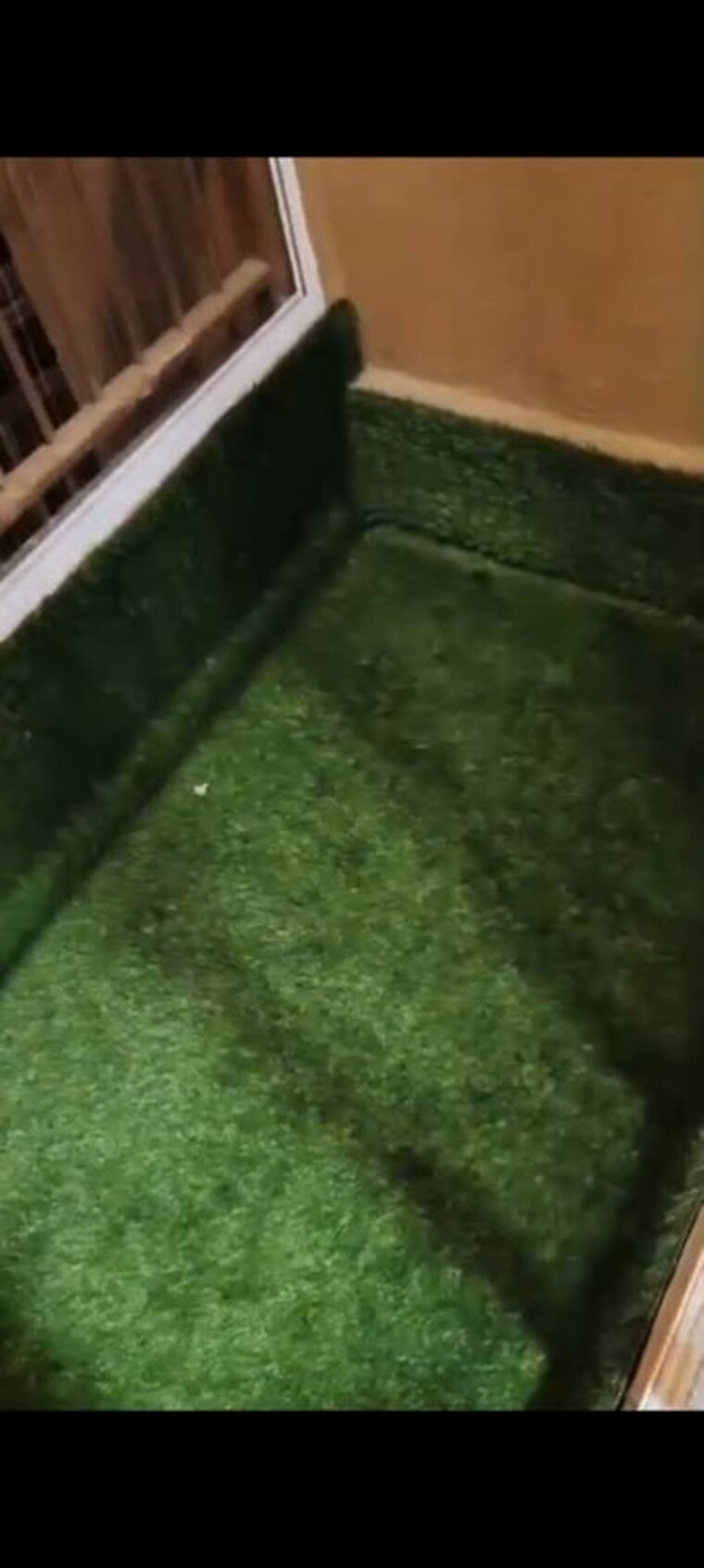 Balcony, jp-north-aviva 1 Bedroom 360 Sq.Ft. Apartment In Mira Road Thane 9923793